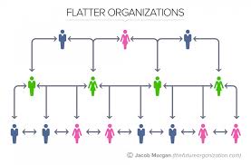 The 5 Types Of Organizational Structures Part 2 Flatter