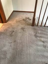 carpet cleaning before after twin