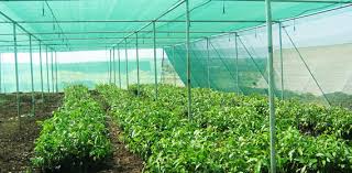 Image result for Poly house Net Manufacturer in India