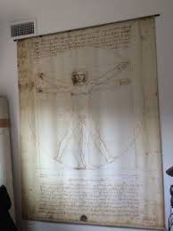 Da Vinci Vitruvian Man Giant Wall Art