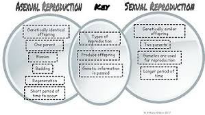Asexual Vs Sexual Reproduction Venn Diagram