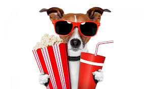 Fanático del cine, palomitas de maíz, rojas, animales, gafas de sol, russel  terrier, Fondo de pantalla HD | Peakpx