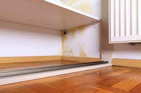 mold in closet causes removal
