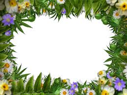 flower frame border png with green