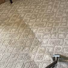 carpet cleaning near hartselle al