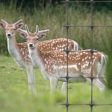 Deer Fence Heavy Duty Plastic Fencing