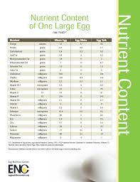 The Skinny On Eggs Health Wellness And Nutrition