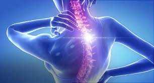 spine neck and shoulder pain