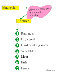 magnesium level mg labpedia net