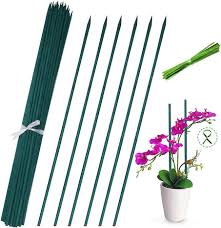 green bamboo plant stakes garden stakes