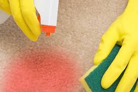 renewcarpetcleaning ie wp content uploads 2022 04