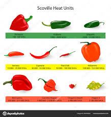 Scoville Scale Chilli Peppers Spiciness Vector Stock