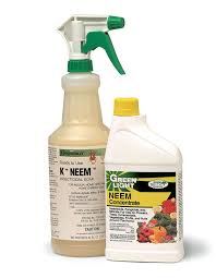 control pests and diseases safely with