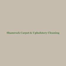 14 best baltimore carpet cleaners