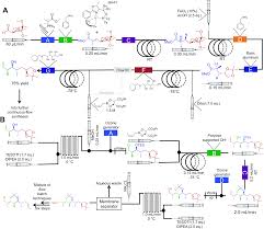 Multi Step Continuous Flow Synthesis Chemical Society
