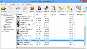 Some download managers can even speed up the download process by downloading your item from multiple source at once. Idm Software Full Version Crack Americanfasr
