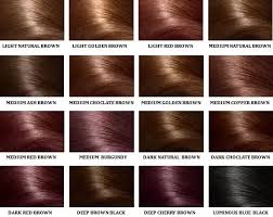 If you've never dyed your hair before, however, apply the dye to all your ends first. I Want To Dye My Hair Should I Bleach It First Quora