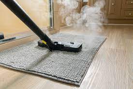 carpet sanitizing services in milton