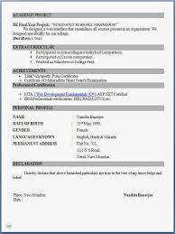 sample resume layouts