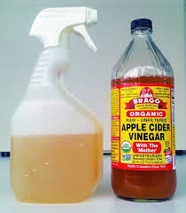 apple cider vinegar for dogs whole