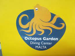 picture of octopus garden diving centre