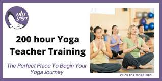yoga teacher trainings