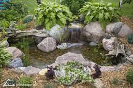 planning your pond renovation for next