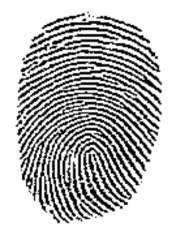 fingerprinting billerica police ma