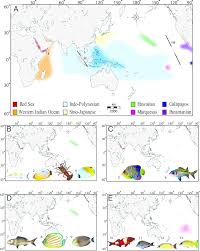 A Biogeographic Provinces Of The Tropical Indo Pacific As