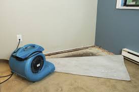 saving flooded carpet cleanfax