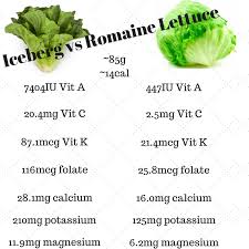 iceberg vs romaine lettuce