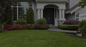 lawn care landscaping and tree removal
