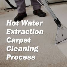 our residential carpet cleaning process