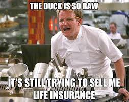 chef-gordon-ramsay-meme-duck.png via Relatably.com