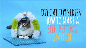 14 diy cat toys because cats just
