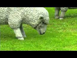 lamb lawn statues plow hearth