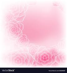beautiful pink rose flower background