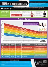 Gym And Fitness Chart Training Zones And Threshold L