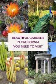22 beautiful gardens in california you