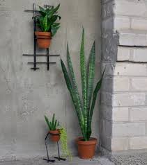 27 Best Wall Hanging Planters For