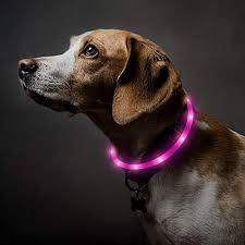 Amazon Com Bseen Led Lighted Dog Collar Usb Rechargeable Glowing Dog Collars Silicone Light Up Pet Collar For Small Medium Large Dogs Pink Pet Supplies
