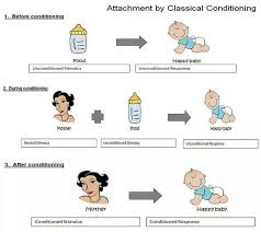 Conditioning Attachment Theory Classical Conditioning