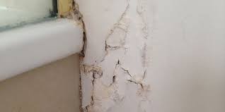 how to check for bathroom leaks my