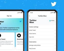 Twitter Blue subscribe button