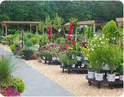 Wisconsin Native Plant Nurseries