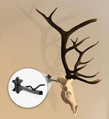 the bull bracket european elk skull