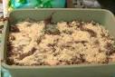 Image result for cat litter cake