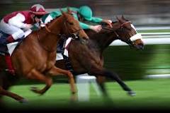 what-bet-pays-the-most-in-horse-racing