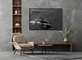 Black And White Dolphin Office Decor