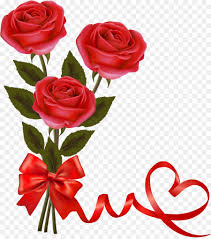 rose love flowers png 1219